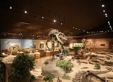 Dickinson Museum Center & Badlands Dinosaur Museum