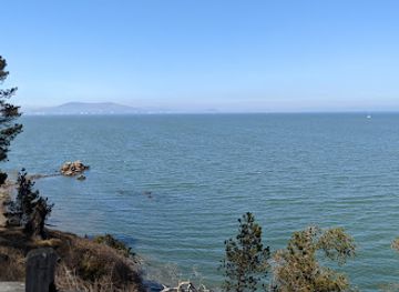 california/redwood-city/attraction/curiodyssey