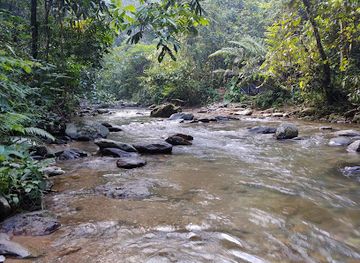 indonesia/bukit-lawang/attraction/bat-cave-bukit-lawang