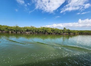 florida/honeymoon-island-state-park/attraction/caladesi-island-state-park