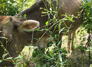 nicaragua/esteli-cigar-tours/attraction/esteli-chilincocos-park