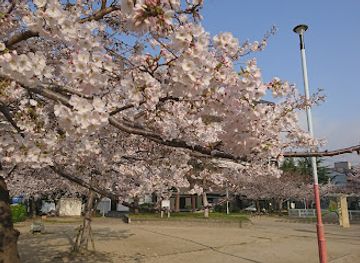japan/kinki-kansai/attraction/aizen-park