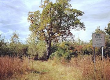 Devil's Tree