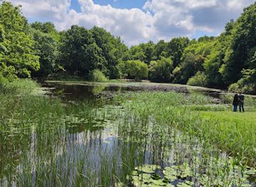 romania/botosani/attraction/lacul-cu-nuferi-mihai-eminescu-ipotesti-botosani