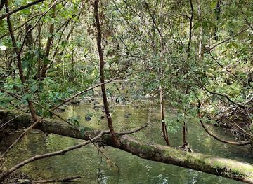 new-zealand/tasman/attraction/eves-valley-scenic-reserve
