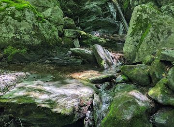 vermont/sugarbush-resort/attraction/scrag-mountain-town-forest