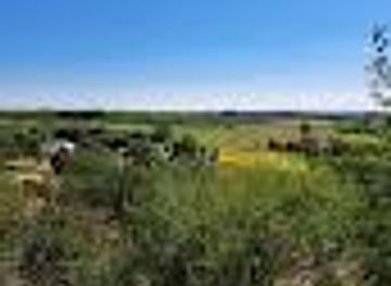 hungary/pecs/attraction/fenykepezesi-hely