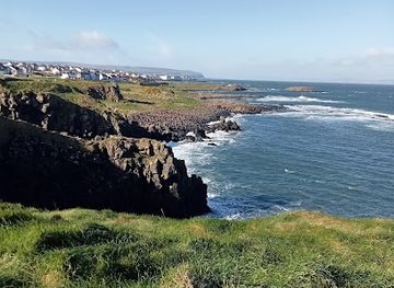 ireland/giant-s-causeway/attraction/rinagree-point