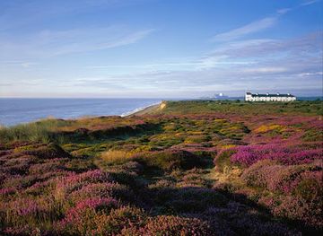 united-kingdom/southwold/attraction/national-trust-dunwich-heath-and-beach