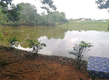 cote-d-ivoire/lacs/attraction/lac-du-peage