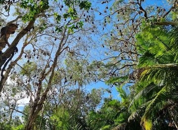 australia/byron-bay/attraction/boardwalk