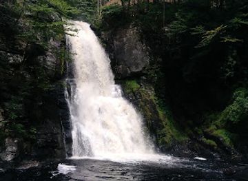 delaware/the-delaware-water-gap/attraction/pocono-snake-animal-farm