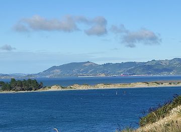new-zealand/otago/attraction/waiwhakaheke-seabird-lookout
