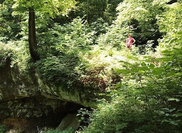 ohio/wayne-national-forest/attraction/irish-run-natural-bridge