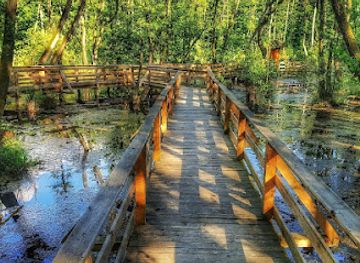 hungary/central-transdanubia/attraction/fenyes-nature-trail