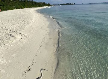 maldives/guraidhoo/attraction/francis-chorow-island