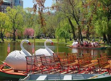 massachusetts/gloucester/attraction/swan-boats