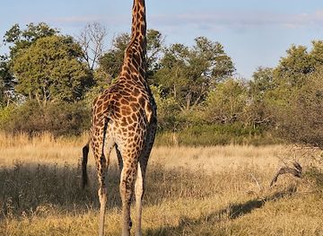 botswana/north-west-district/attraction/ng-20-kwara-reserve