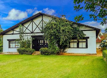 tanzania/usambara-mountains/attraction/mazumbai-forest