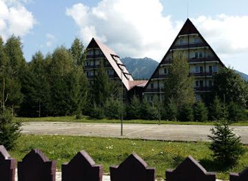 romania/prahova/attraction/mine-flowers