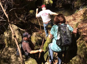 alabama/sipsey-wilderness/attraction/bee-branch-scenic-area