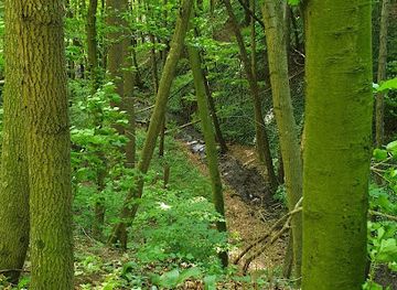 austria/lower-austria/attraction/siegenfelder-wasserfall