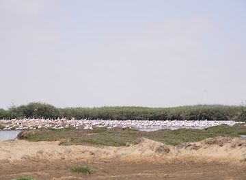 namibia/namib-naukluft-national-park/attraction/bird-sanctuary