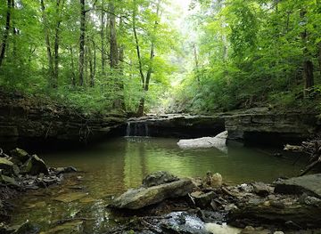 indiana/hoosier-national-forest/attraction/nine-penny-branch-state-nature-preserve