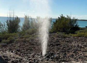 the-bahamas/harbour-island/attraction/natural-geyser