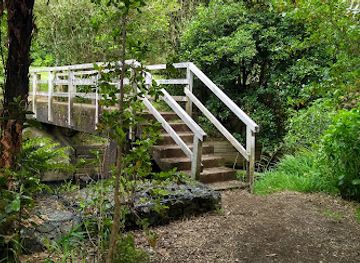 new-zealand/taranaki/attraction/huatoki-domain-nzmca-park