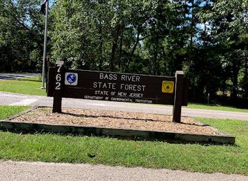 new-jersey/south-jersey/attraction/bass-river-state-forest