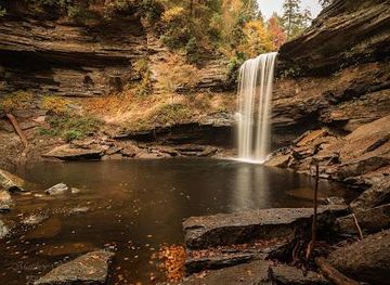 tennessee/fall-creek-falls-state-park/attraction/savage-gulf-state-park-west-trailhead-greeter-falls