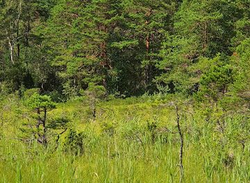 estonia/saare-county/attraction/viidumae-looduskaitseala-keskus