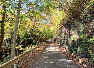 japan/hitachi/attraction/hananuki-gorge