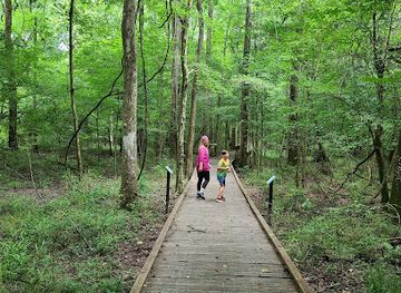 louisiana/kisatchie-national-forest/attraction/louisiana-state-arboretum-state-preservation-area