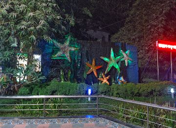 bangladesh/cox-s-bazar/attraction/star-fish-bhaskarjo