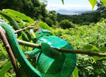 madagascar/nosy-be/attraction/parfums-et-saveurs-de-nosy-be