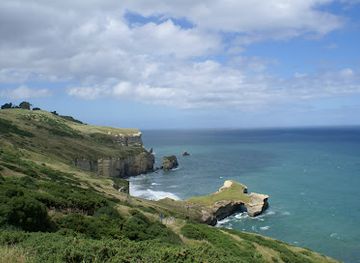 new-zealand/otago/attraction/tunnel-beach-walk
