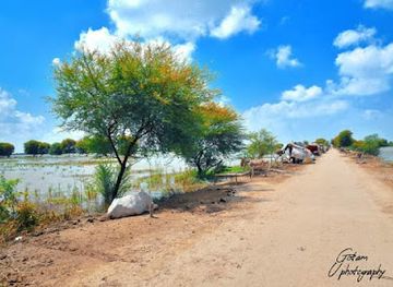 pakistan/thar-desert/attraction/tharparkar-desert