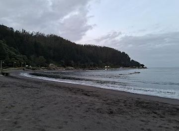 chile/concepcion/attraction/caleta-lenga