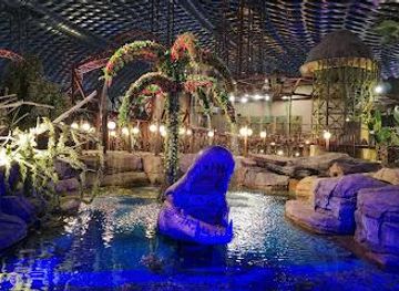 united-arab-emirates/sharjah/attraction/img-worlds-of-adventure