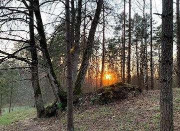 lithuania/aukstaitija/attraction/staku-konglumerato-lustai