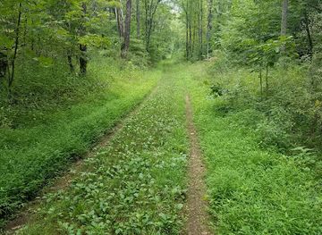 indiana/the-hoosier-national-forest/attraction/hoosier-national-forest