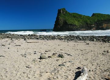 south-africa/wild-coast/attraction/esikhaleni-milkwood-forest