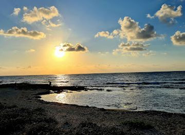 cyprus/morphou-bay/attraction/trysegway-segway-tours-things-to-do-in-paphos-cyprus