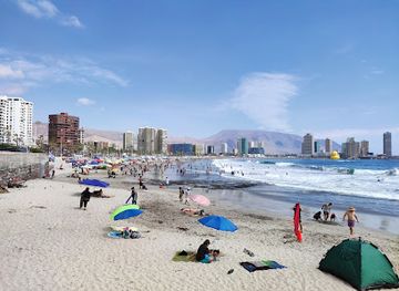 chile/tarapaca-region/attraction/playas-en-iquique