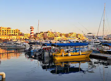 Cabo Marina Walking Path