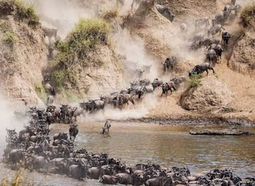 kenya/kilimanjaro-region/attraction/widerange-african-safaris-kilimanjaro-hiking-packages-tanzania-serengeti-safari-zanzibar-beach-tours