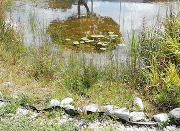 portugal/figueira-da-foz/attraction/charca-de-noe-noah-s-ark-pond