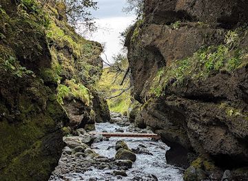 iceland/southern-region/attraction/nauthusafoss
